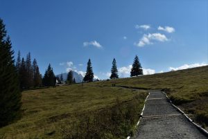 Fotoaktywni 32
